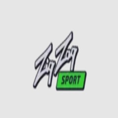 ZigZag Sport Casino's profile picture