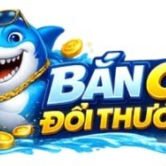 Gamebancadoithuong org's profile picture