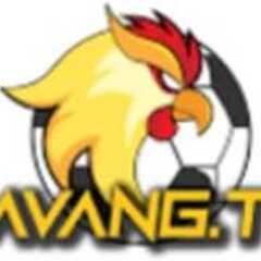 Gà Vàng TV's profile picture