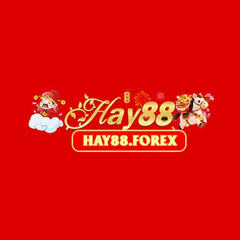 Hay88  Forex's profile picture
