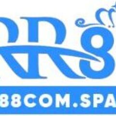 Ceo RR88 Hà Việt Dũng's profile picture
