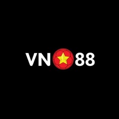 VN 88's profile picture
