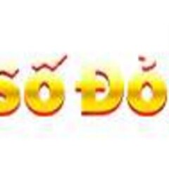 sodo66 commx's profile picture
