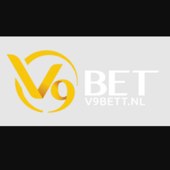 V9bett nl's profile picture