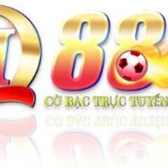 QH88 US's profile picture