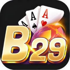 B29 jp net's profile picture