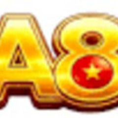 Ea88vn net's profile picture
