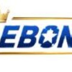 Tylebongda sh's profile picture