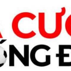 Cacuocbongda10  Com's profile picture