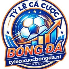 Tylecacuocbongda nl's profile picture