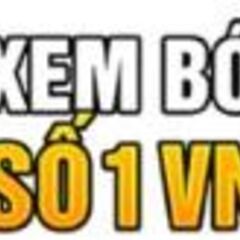 socolivea  io's profile picture