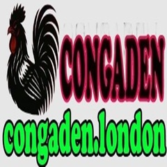 conga den's profile picture