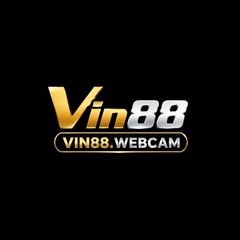 Vin88  webcam's profile picture