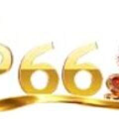 Vip 66's profile picture