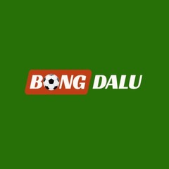 Bongdaluvip99 com's profile picture