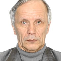 Nikolai Perov's profile picture