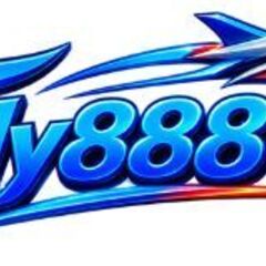 Ttfly888  com's profile picture