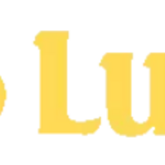 LU88 Truong's profile picture