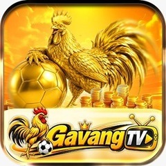 Sân Chơi  GAVANGTV's profile picture