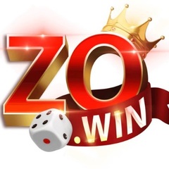Zowin Playcom's profile picture