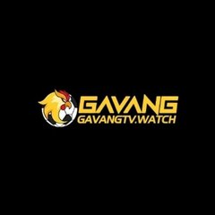Gavang tv's profile picture