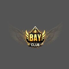 bayclub yachts's profile picture