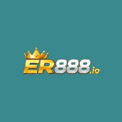 ER888 io's profile picture