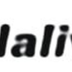 jalalivetv.vip jalalivetv.vip's profile picture
