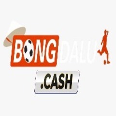 NỀN TẢNG  BONGDALU's profile picture