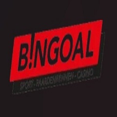 Bingoal Casino's profile picture