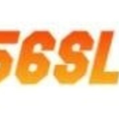 NN 456's profile picture