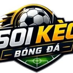 truyenthongbongda com's profile picture