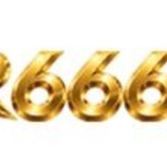 R666P COM's profile picture