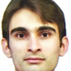 Hossein Askarizadeh's profile picture