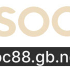 SOC88  GBNET's profile picture