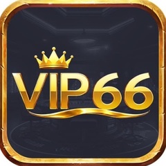 VIP 66's profile picture