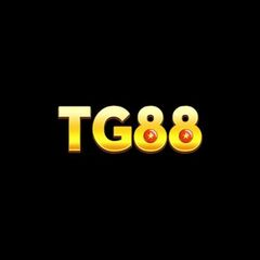Tg88z1 com's profile picture