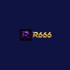 R666 us com's profile picture