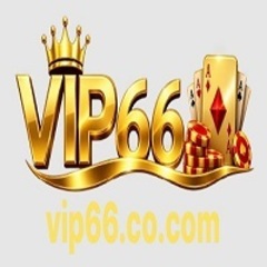VIP 66's profile picture