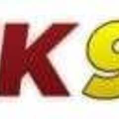 NK99 work's profile picture