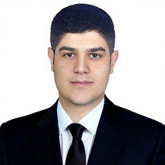 Hadi Erfani's profile picture