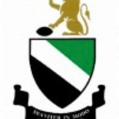 7M Hayle Rugby FC's profile picture