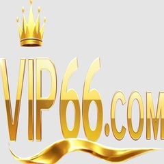 VIP 66's profile picture