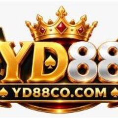 Yd88co com's profile picture