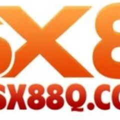 SX88Q CO's profile picture