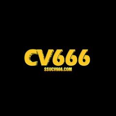 Ssucv666 com's profile picture