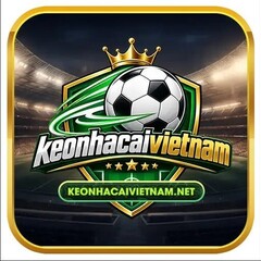 keonhacaivietnam net's profile picture