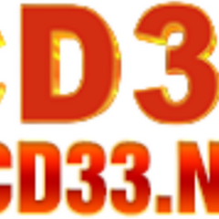 Cd33 nl's profile picture