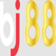 BJ 88's profile picture