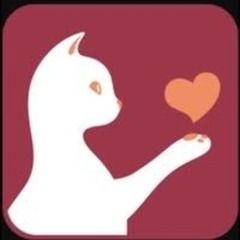 バイ ブ's profile picture
